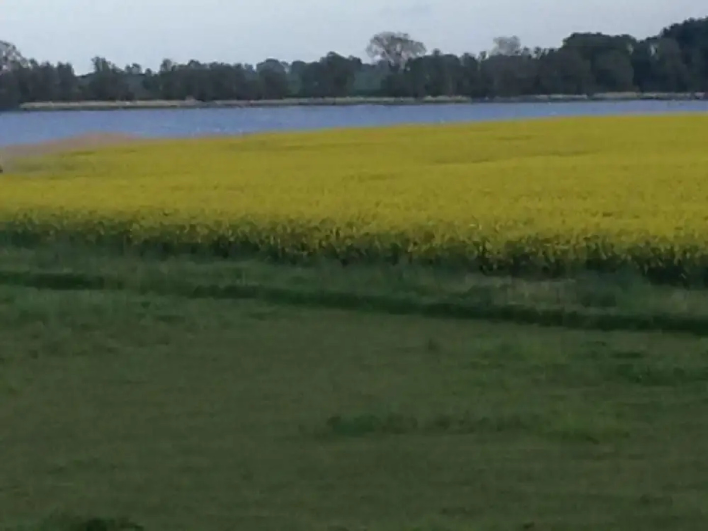 Cosy Apartment in Garz