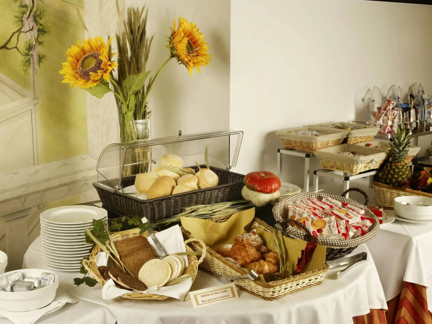 Hotel Parco Borromeo