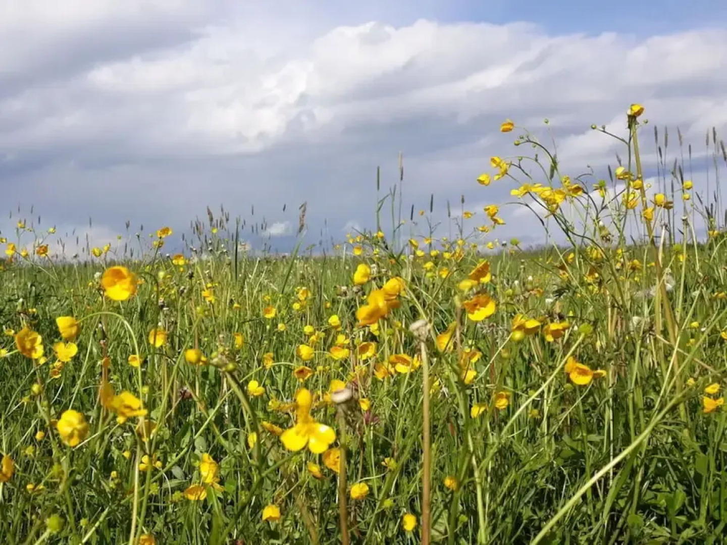 Schleichhof Ammersee