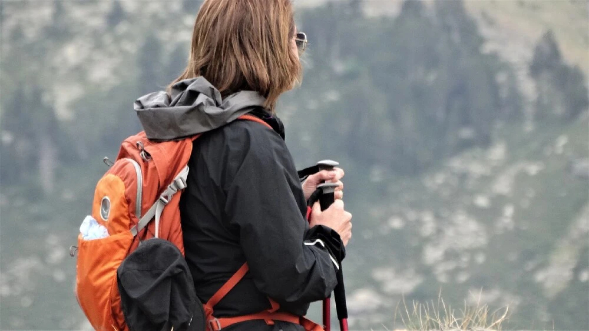 Apartments La Neu II