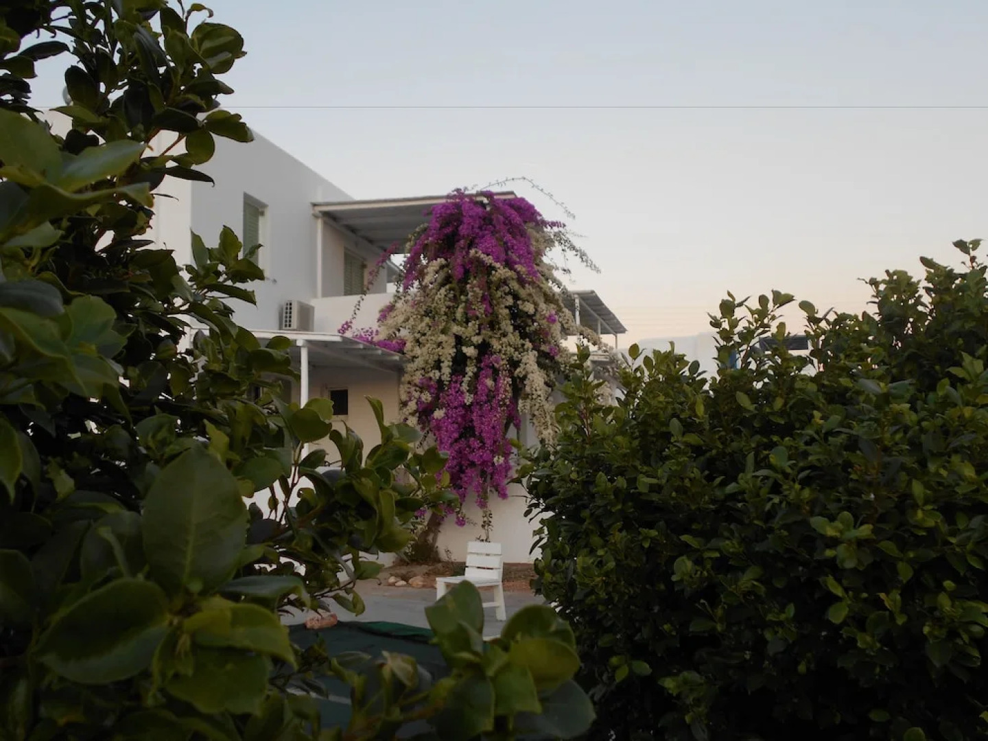 Dahlia Apartments and Studios