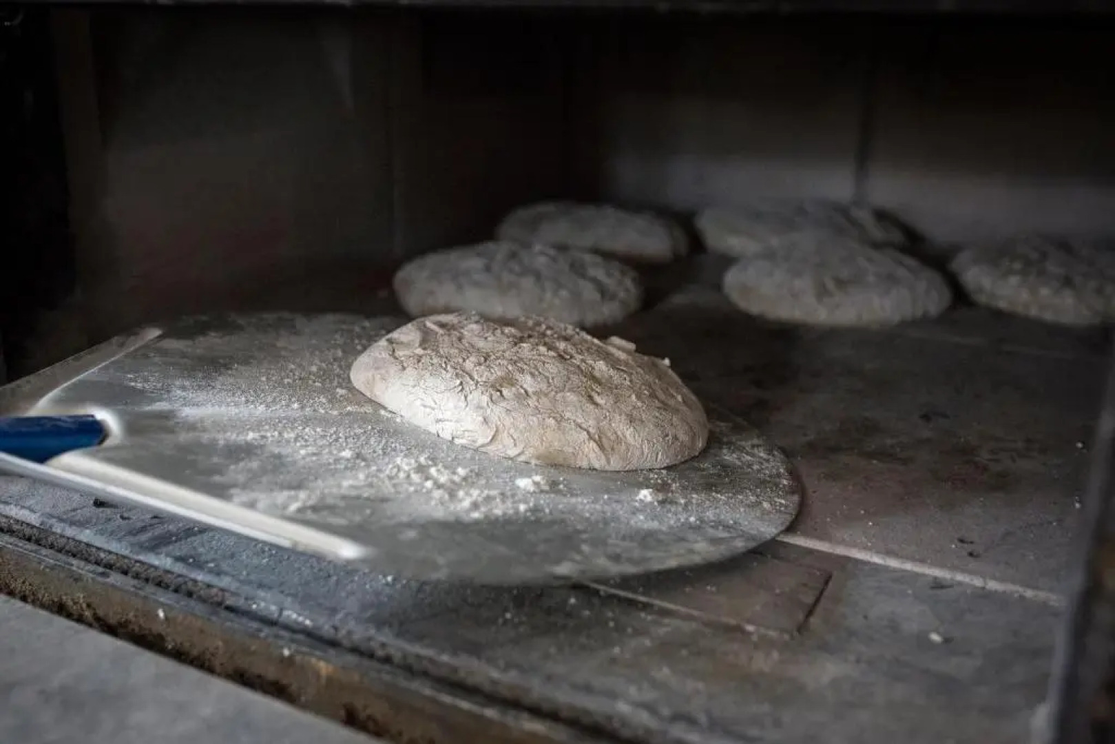 Exclusive Apartment Tassenbacherhof