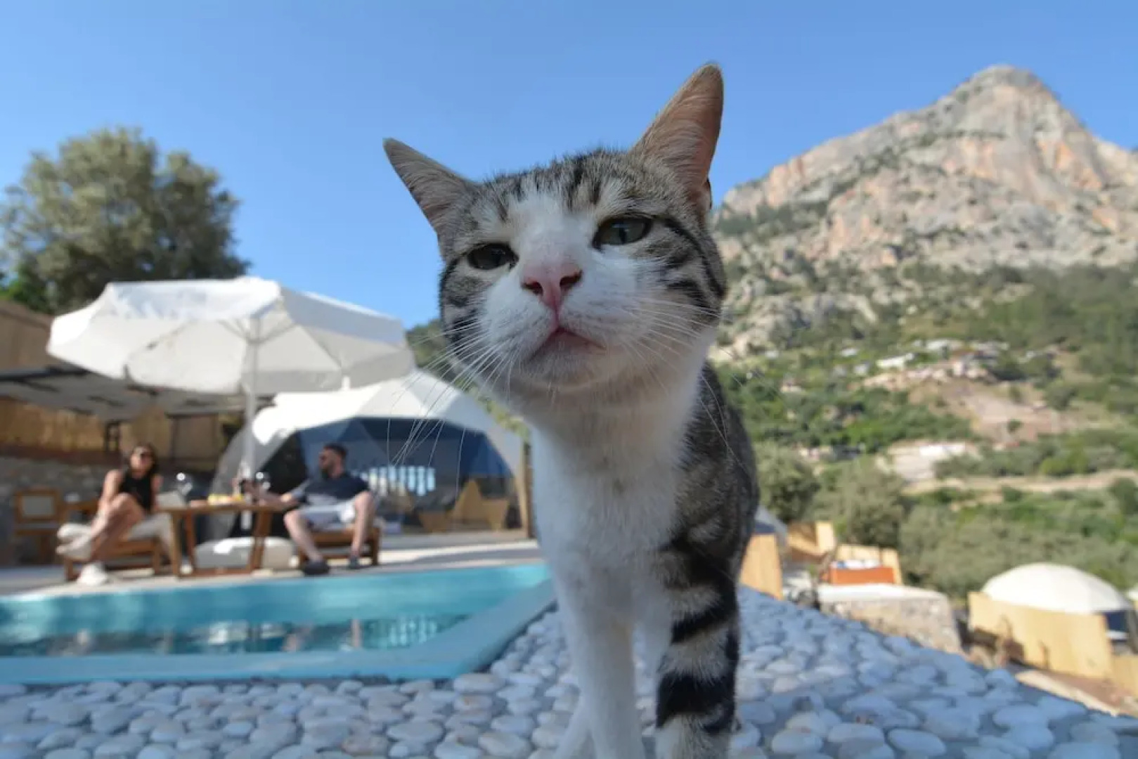 Kabak Freedom Deluxe Hotel