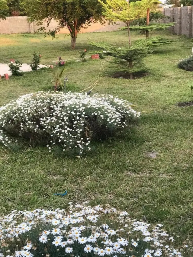 Kavango Dachils Lodges Ext2