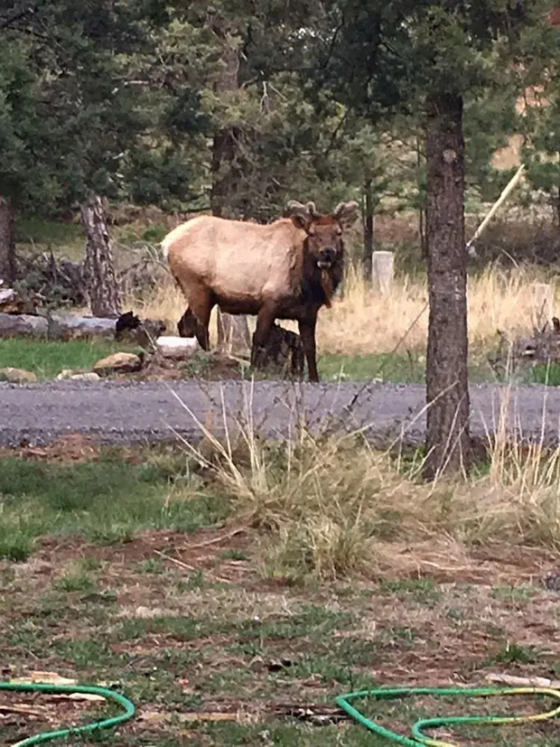 The Lodge at Lazy Bear Retreat