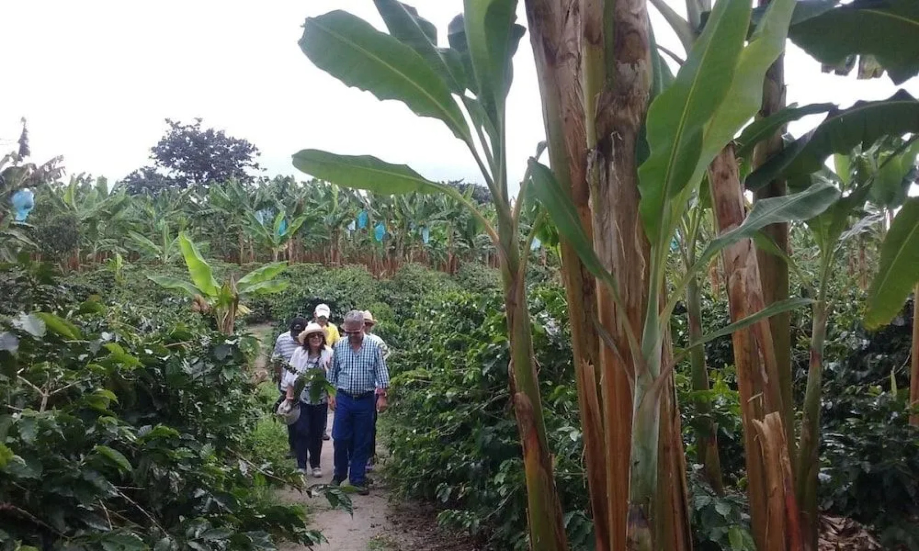 Hotel Veraneras del Quindío