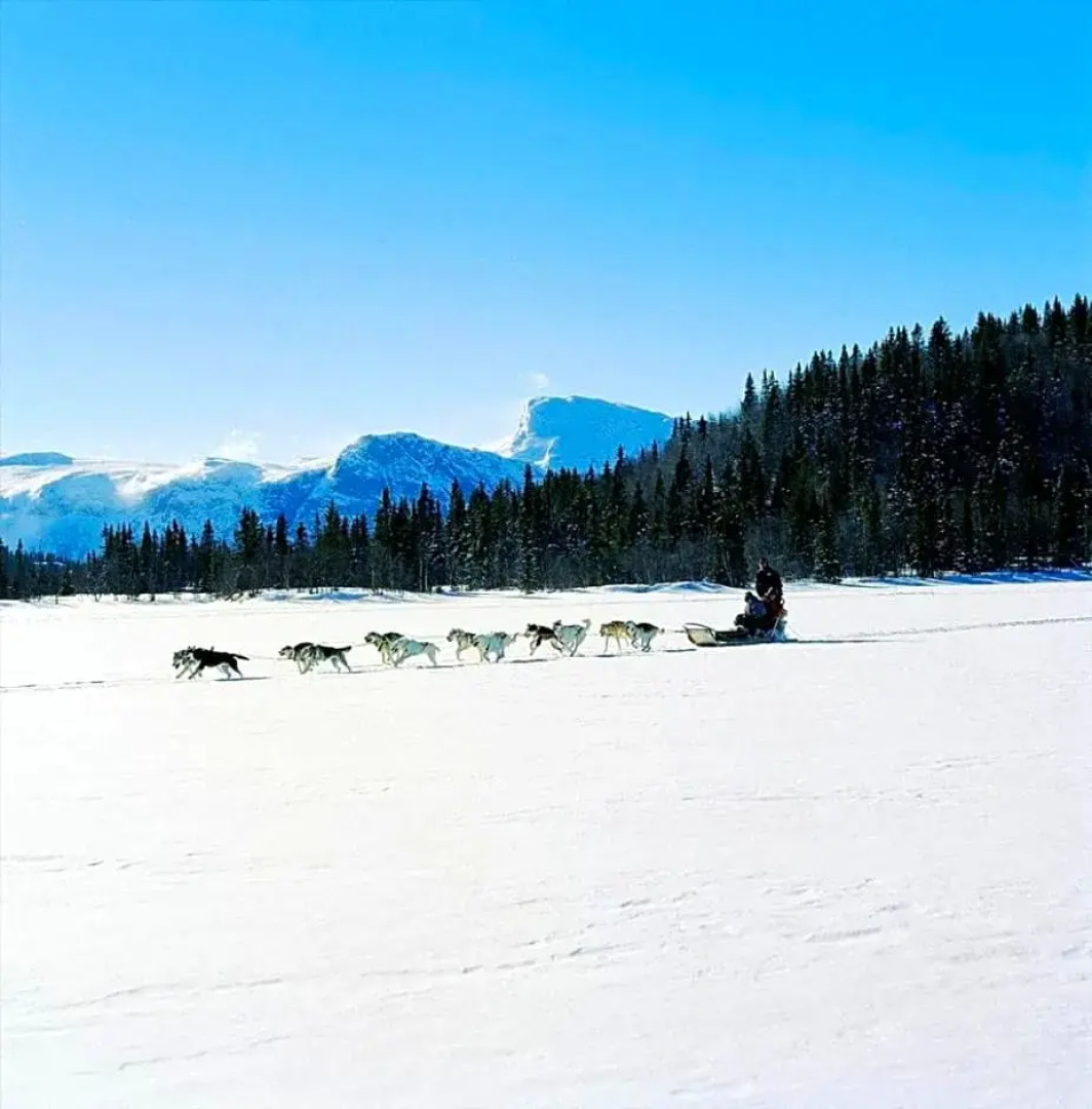 Fresh Familie Hytte Hemsedal