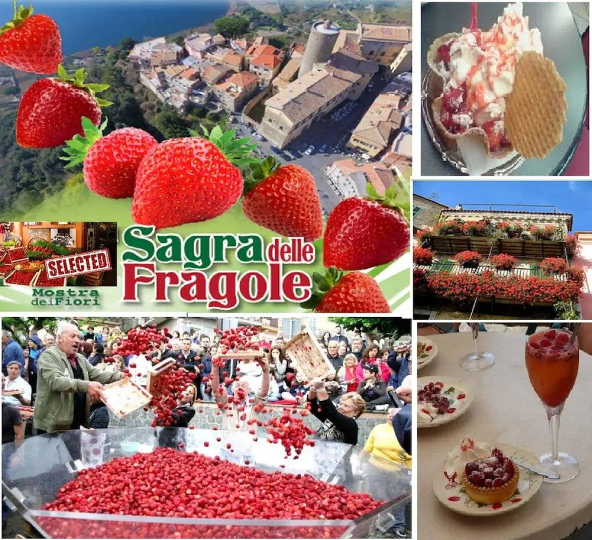 Interno 1 Ciampino Roma Luxury Apartment