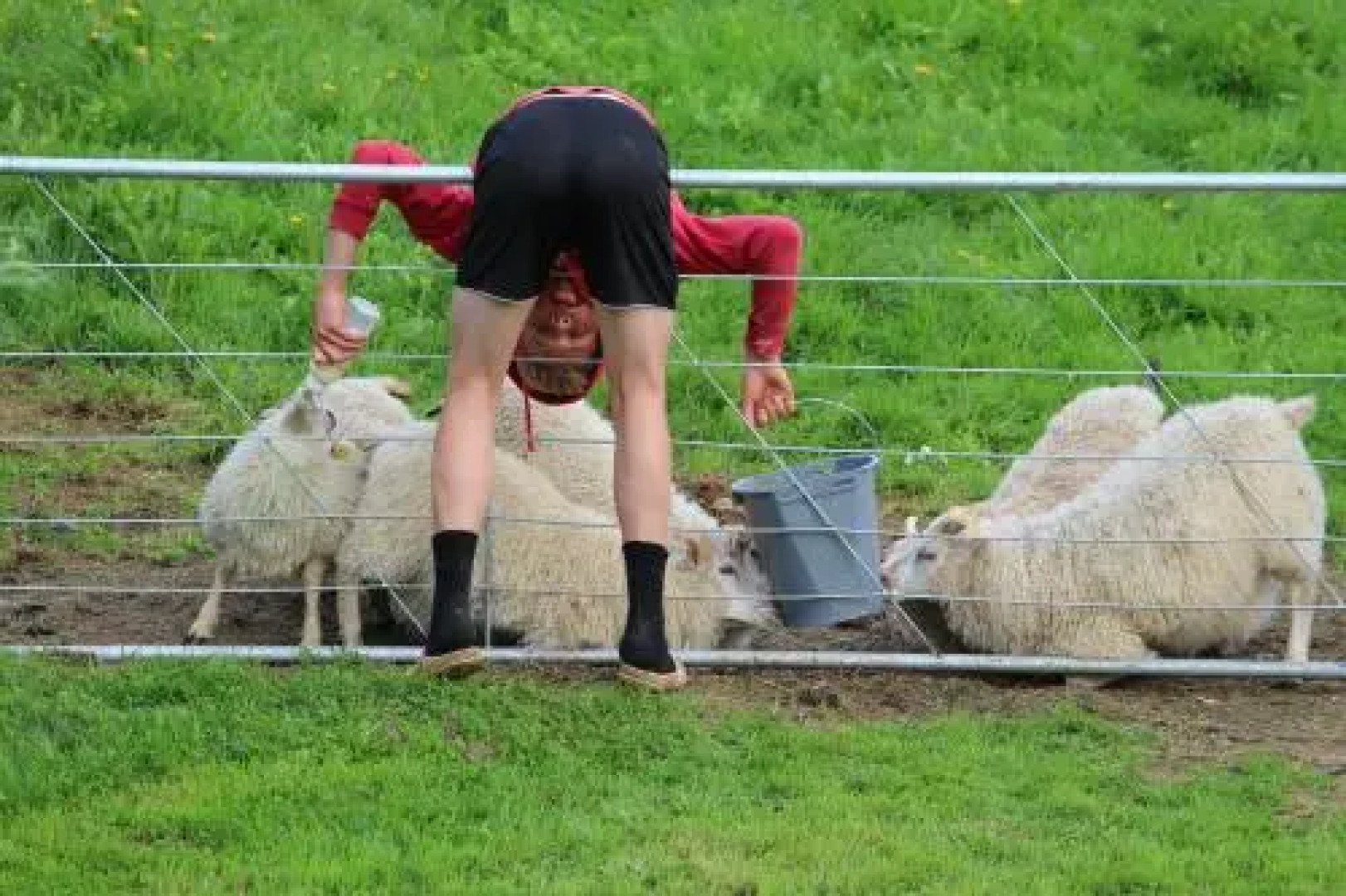 Lambanes-Reykir Holiday Home