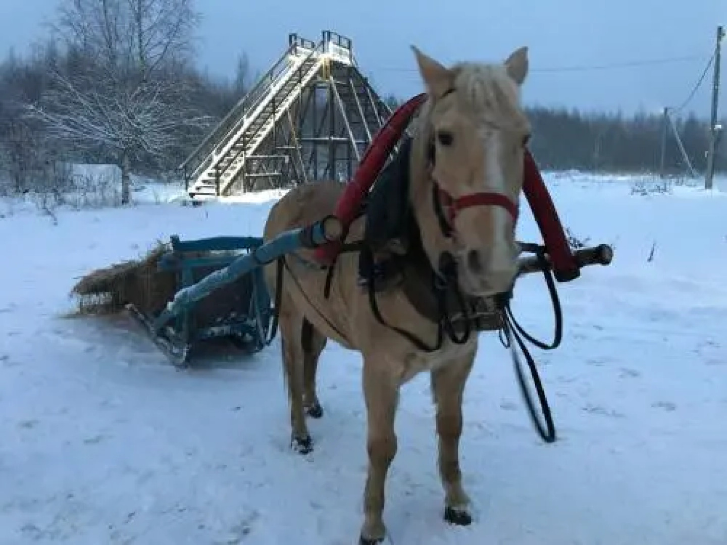 Guesthouse Zelenaya Milya