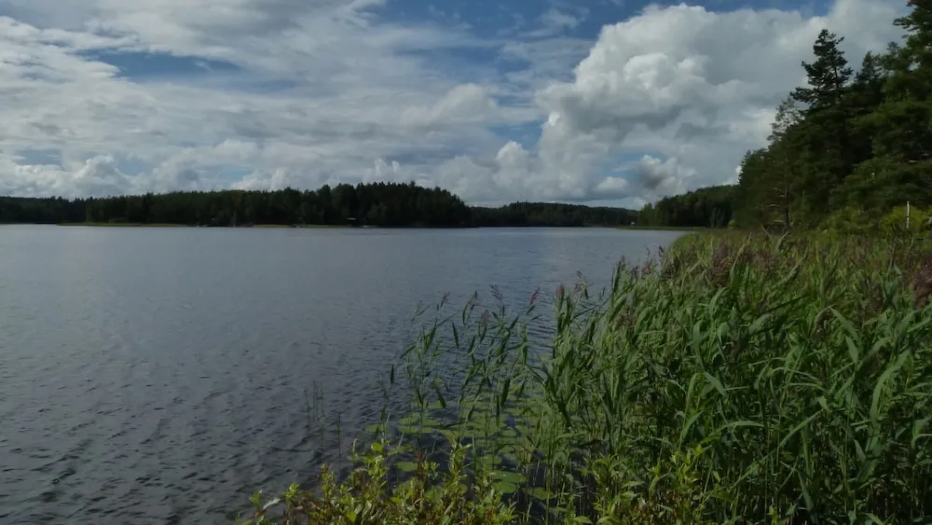 Salkolahti Vehmaanpirtti