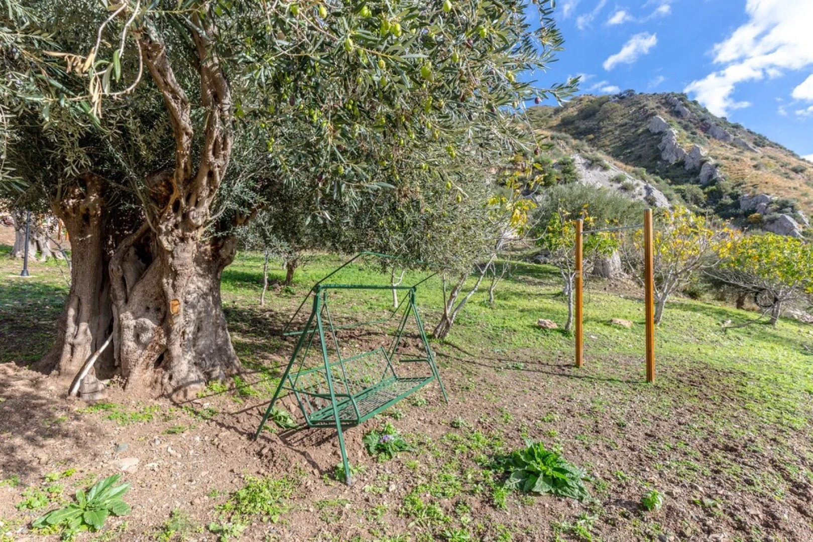 Rocca di Mezzogiorno - Fiordaliso