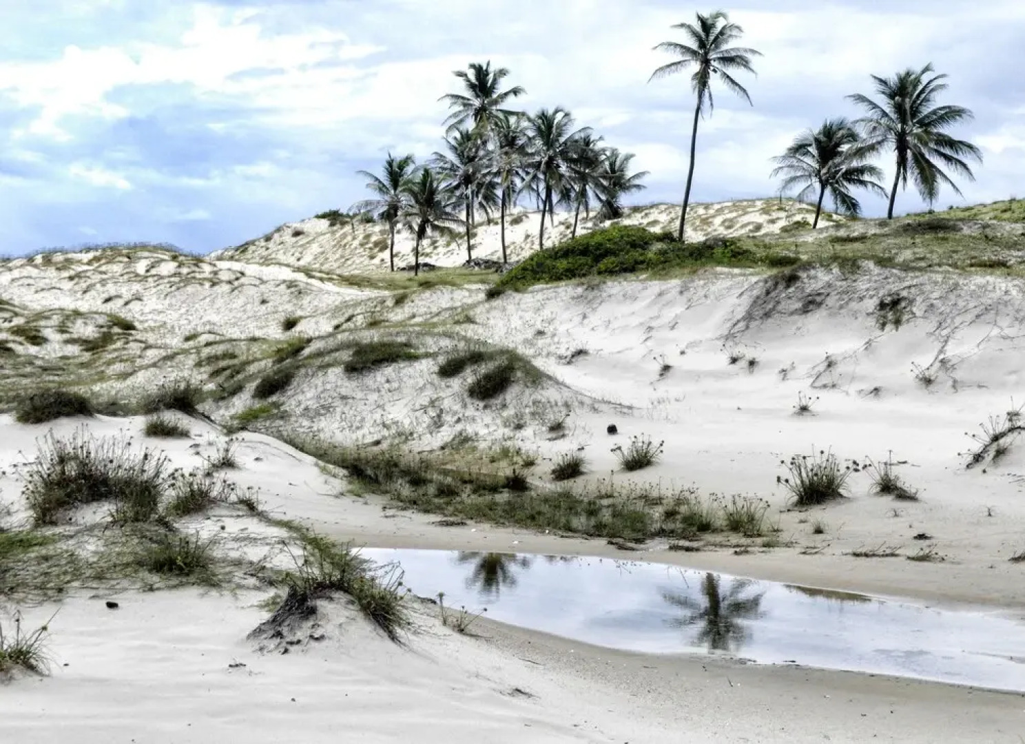 Chalés Estrelas do Mar