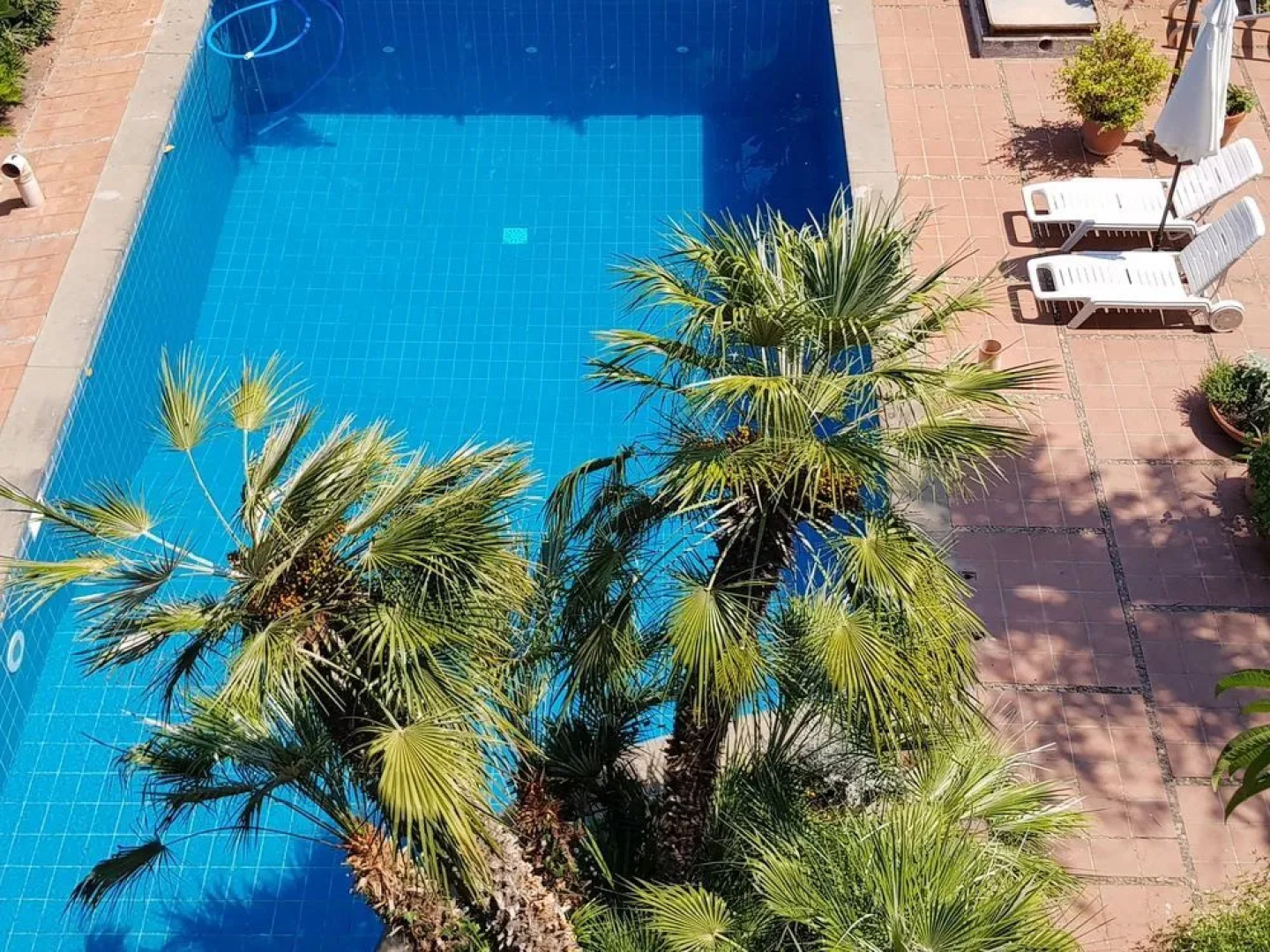 Il Glicine Acitrezza