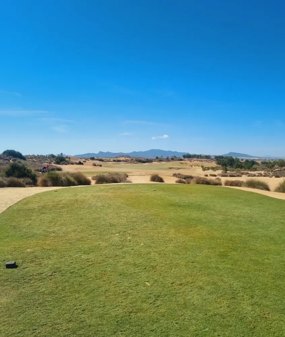 Sunny Oasis Retreat in Condado del Alhama