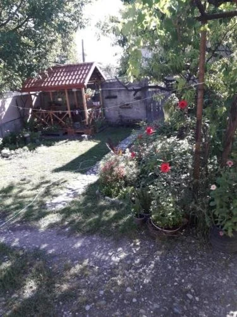 Hostel Kakheti