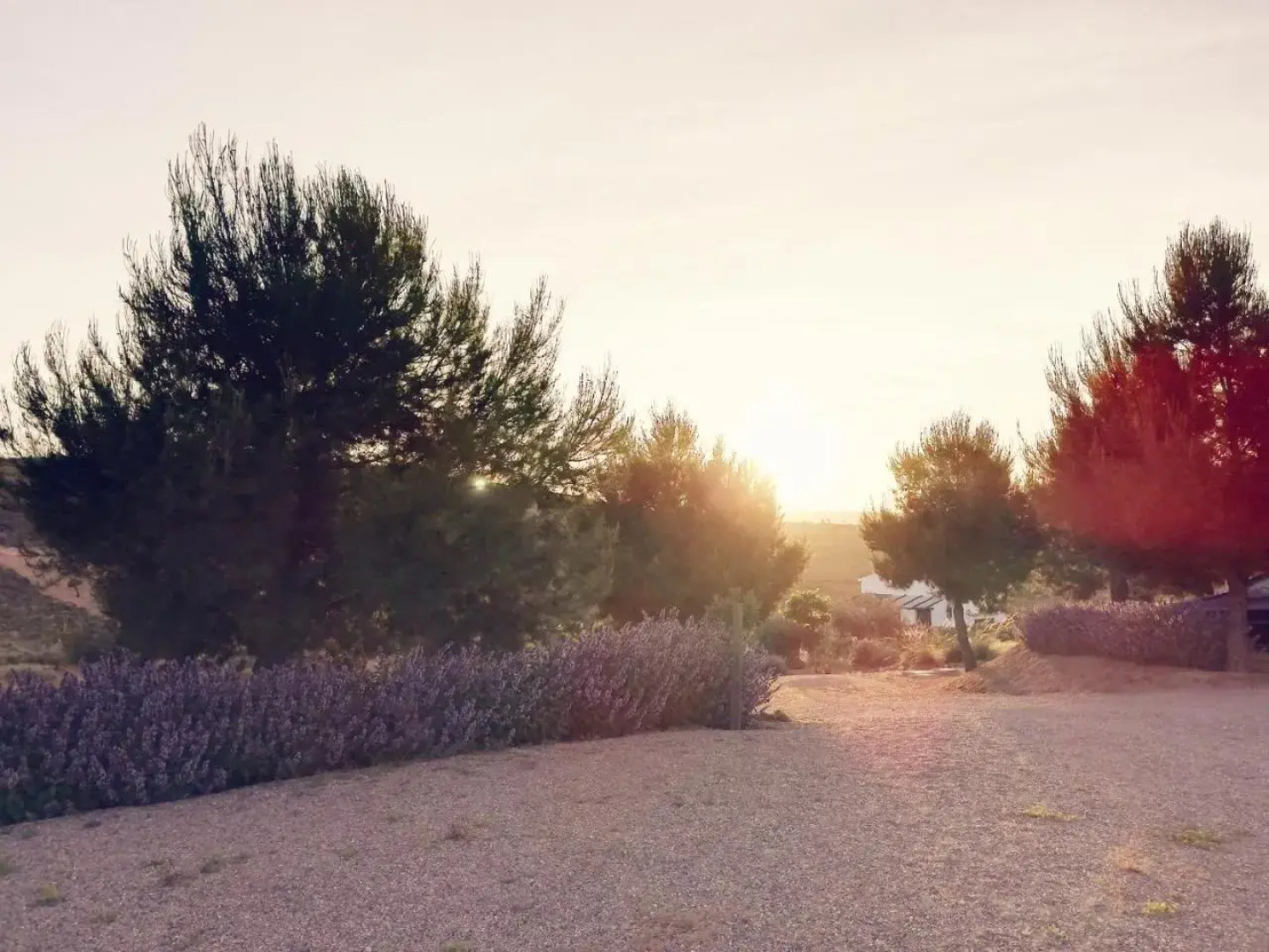 Al Agia - Mirador de los Quinientos