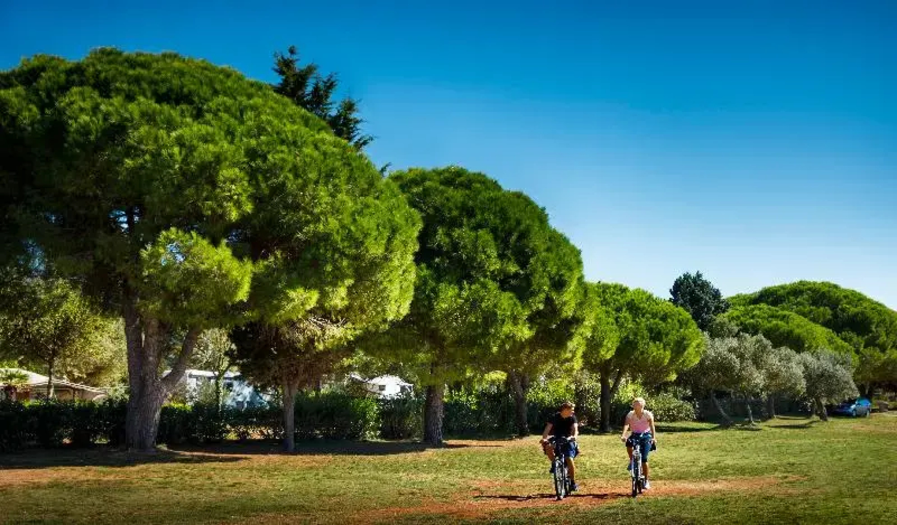 Amarin Campsite Glamping