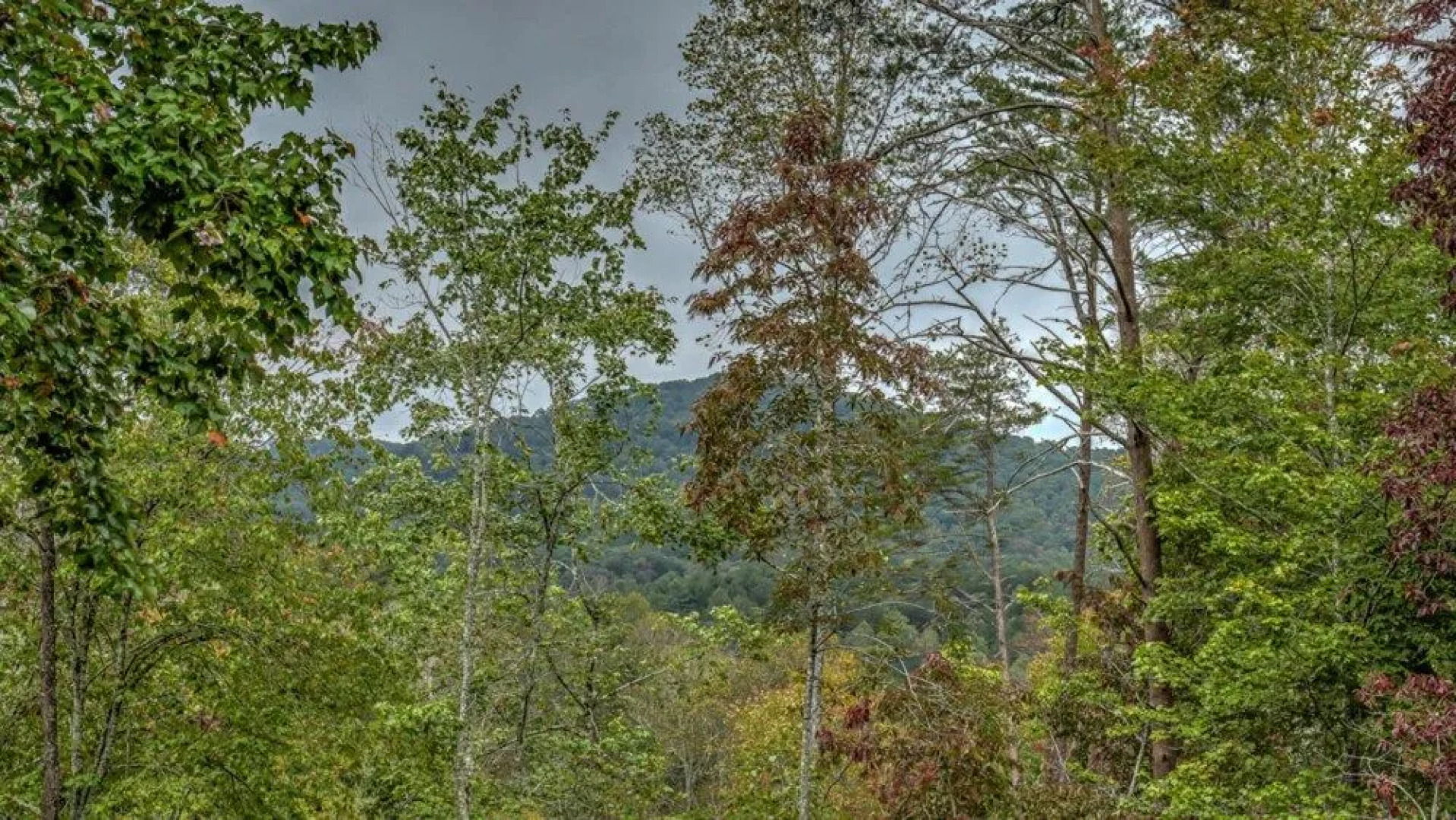 Aska Round by Escape to Blue Ridge