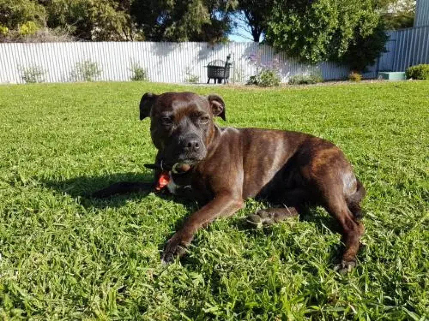 Great Ness Beachhouse - WiFi - Pet-Friendly