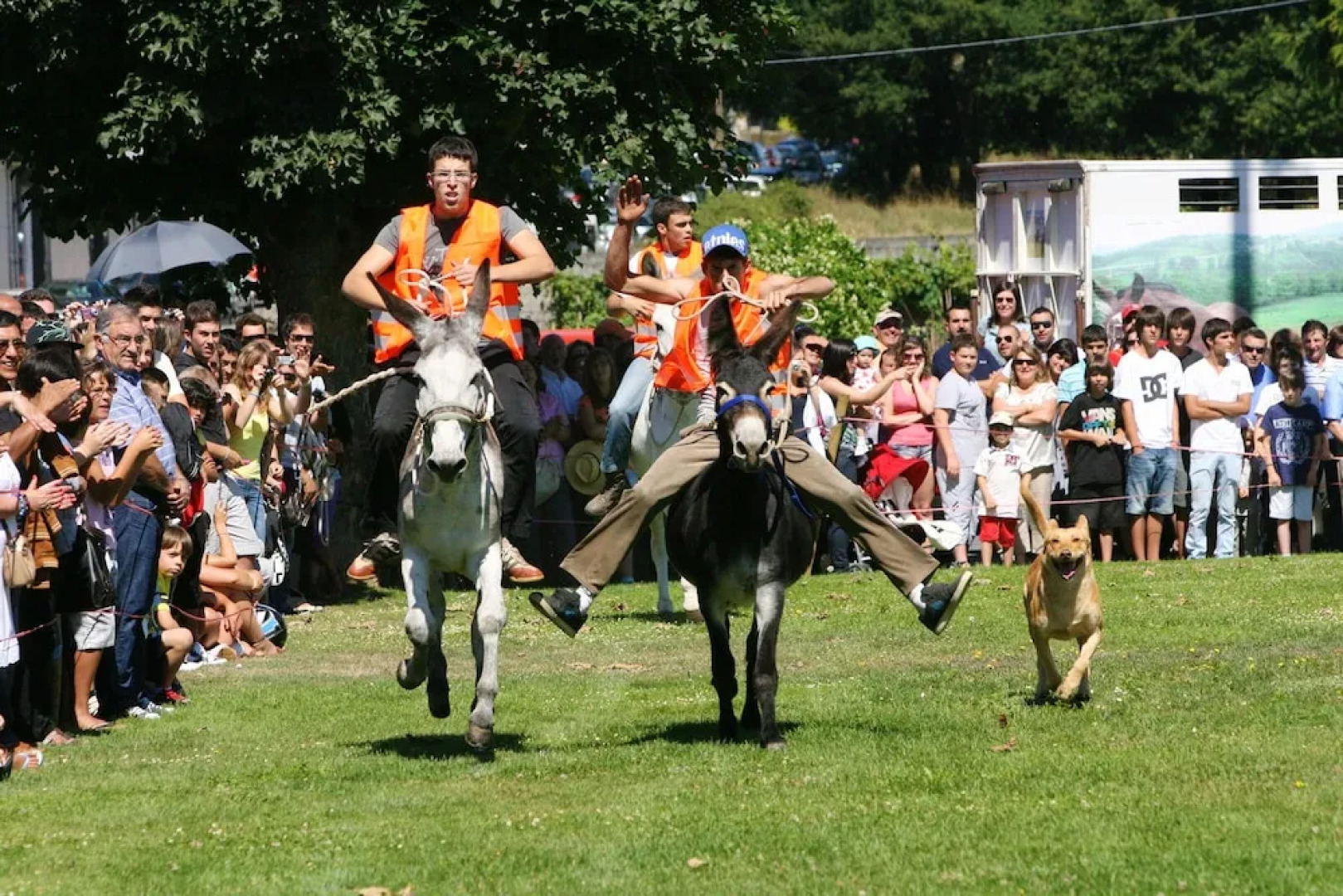 House With 4 Bedrooms in O Saviñao, With Enclosed Garden and Wifi - 3