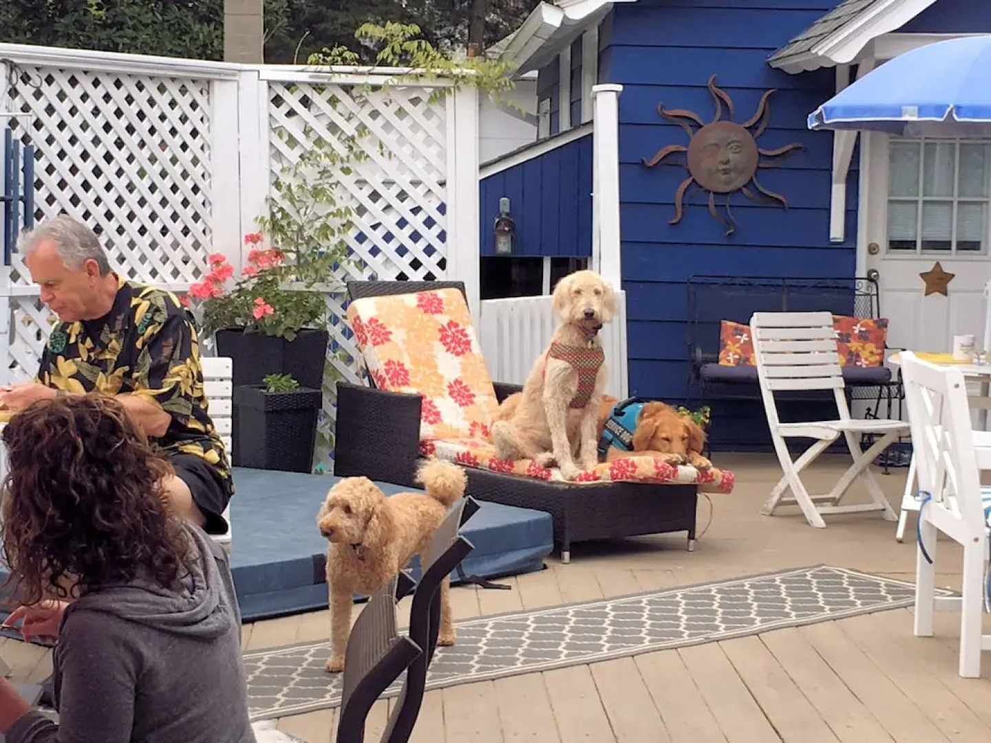 Bewitched & BEDazzled B&B @Rehoboth