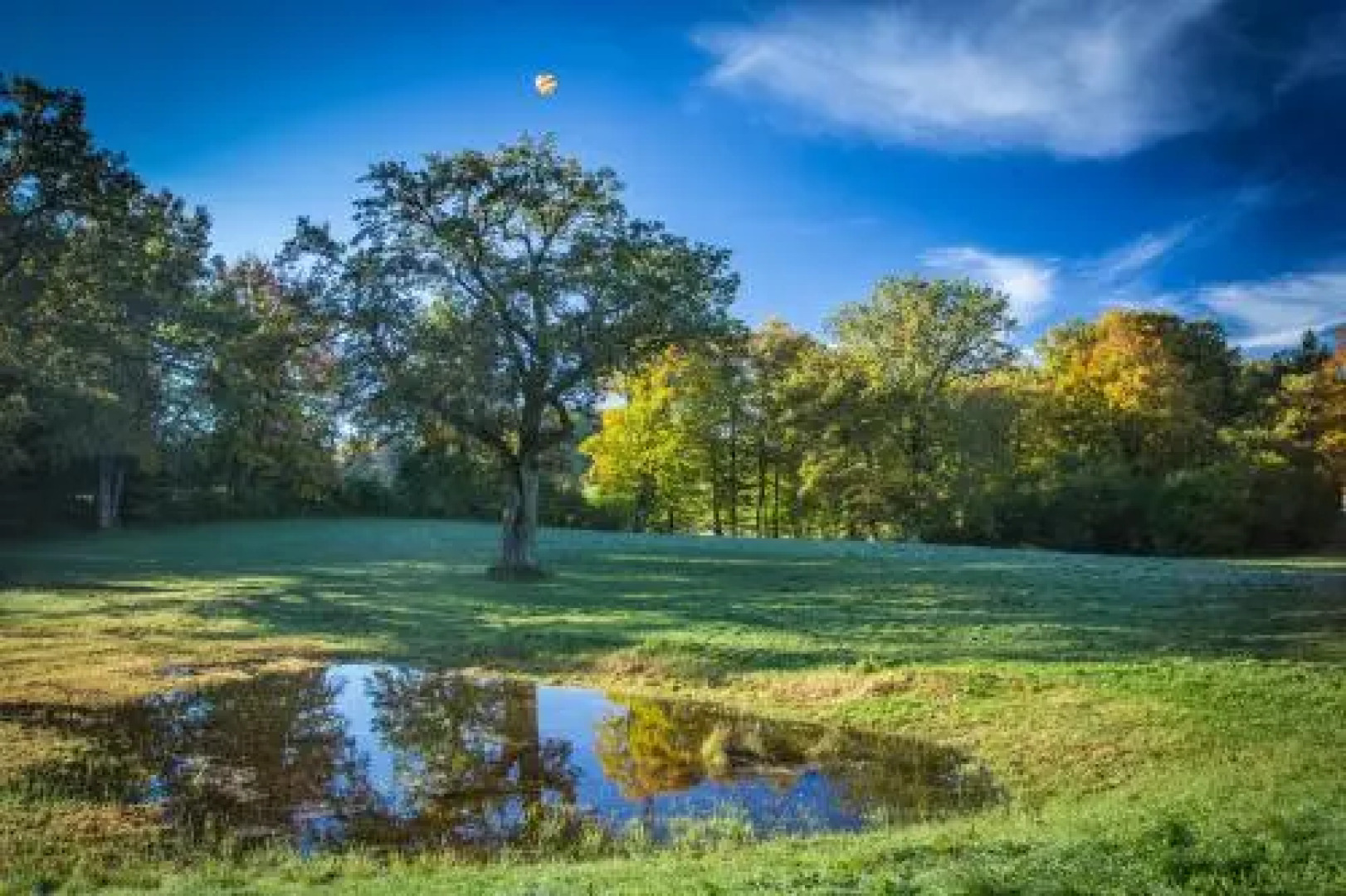 Schlossgaststätte Hohenberg