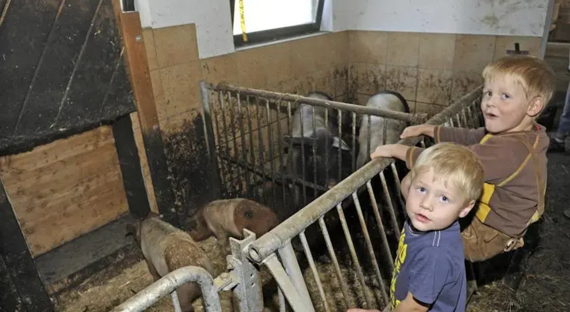 Ferienwohnungen Sauschneiderhof