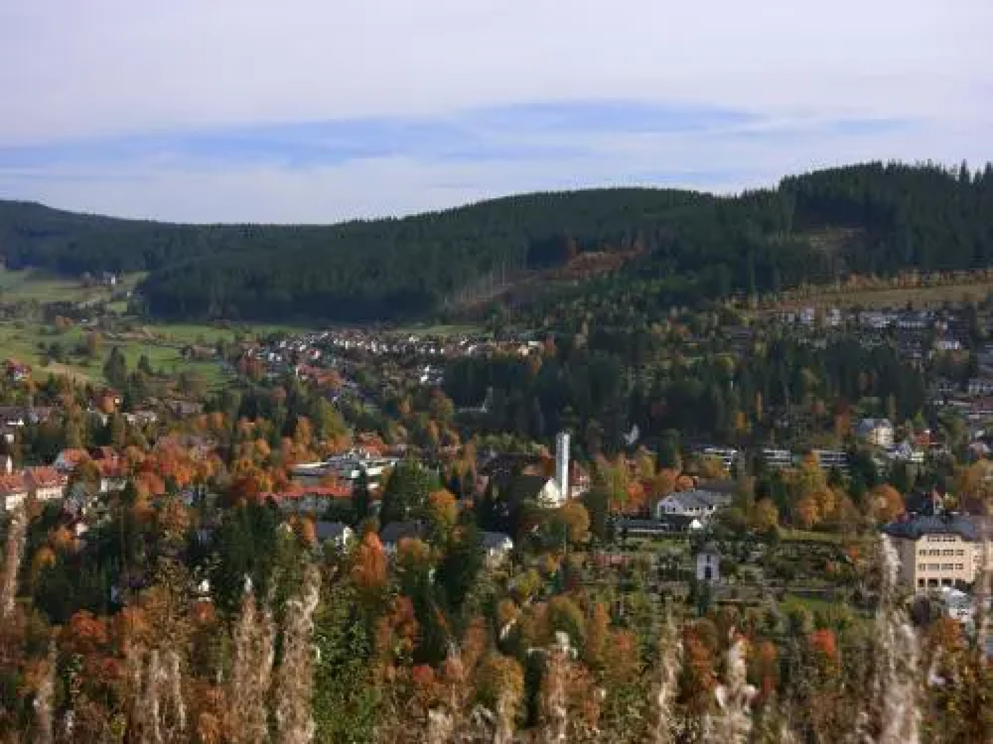 Ferienwohnung am Eisweiher
