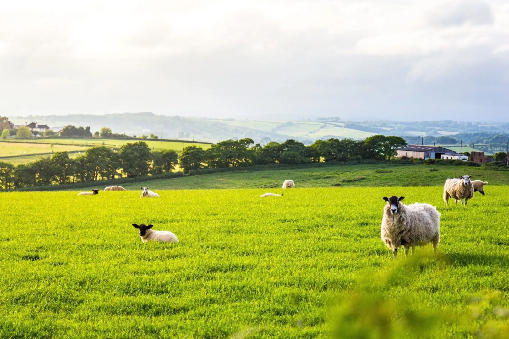 Union Road Moto Velo