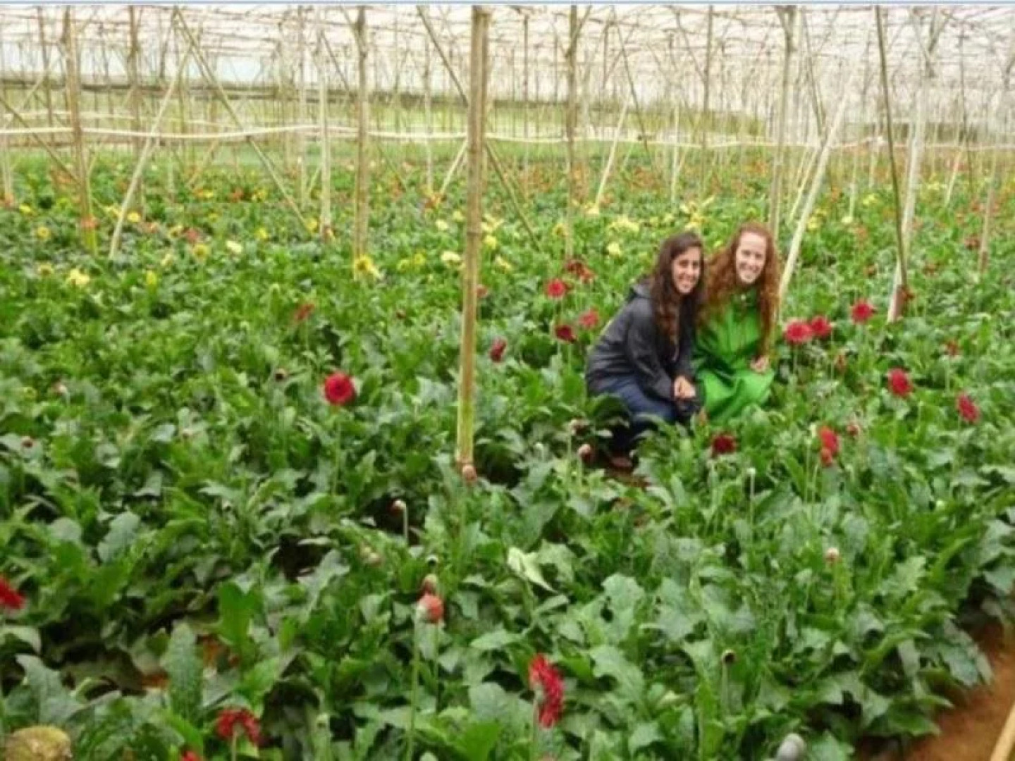 Authentic Family Homestay