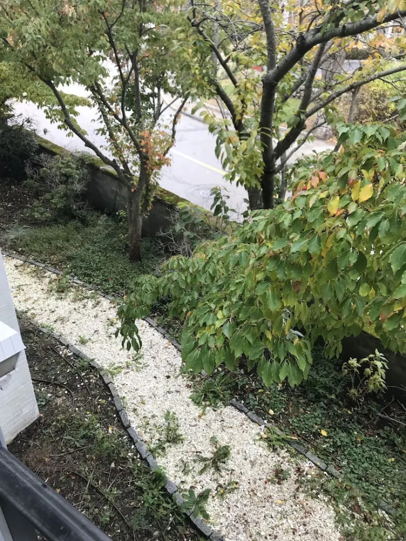 Cohasset Harbor Resort