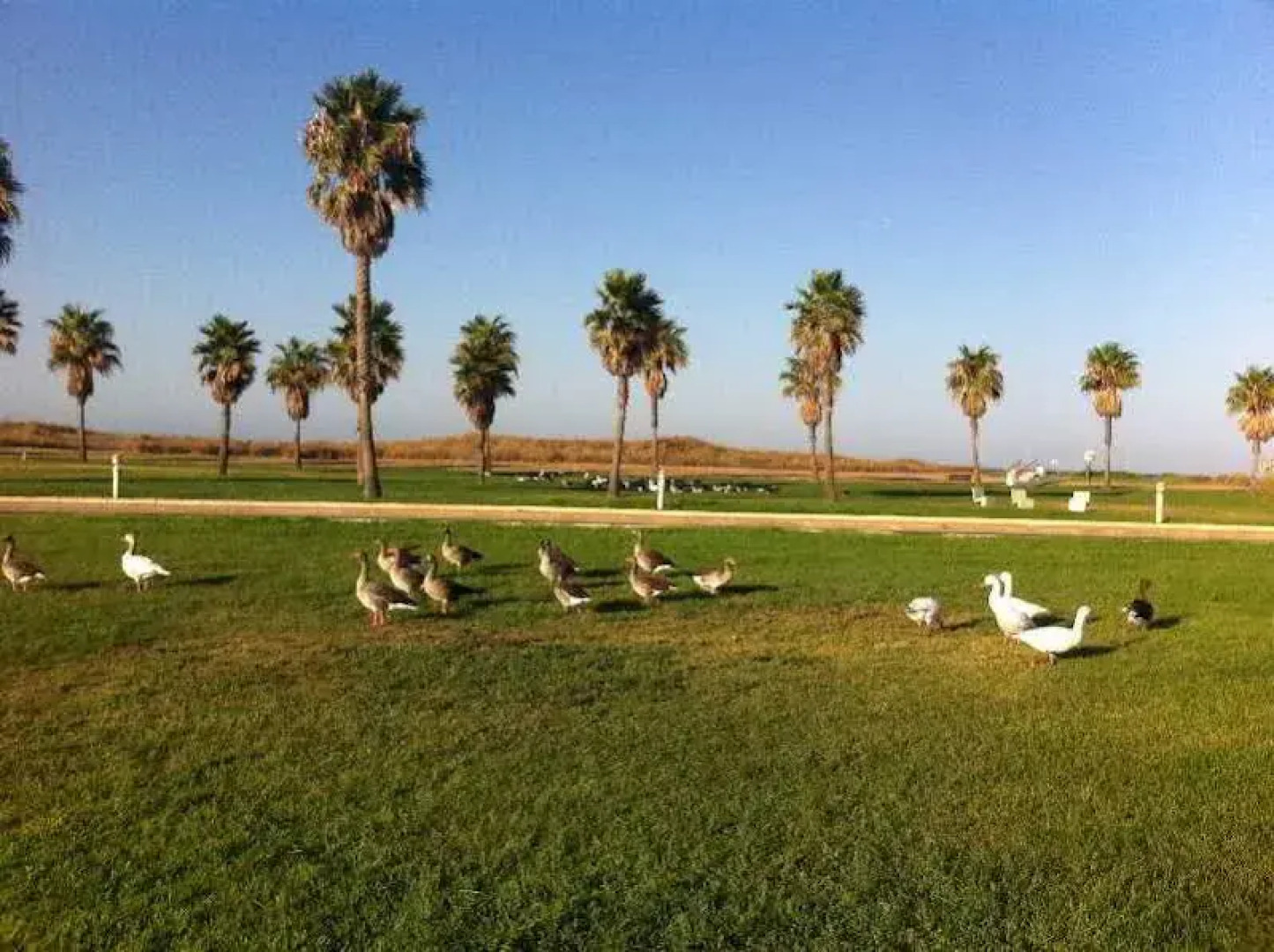 S&L Costa Ballena By Life Apartments