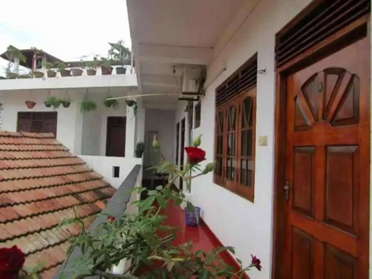 New sea lion guest house