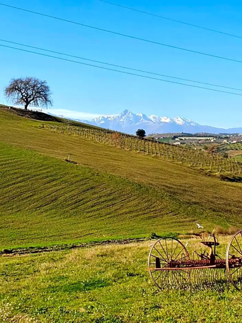 B&B Gli amici del tubarello