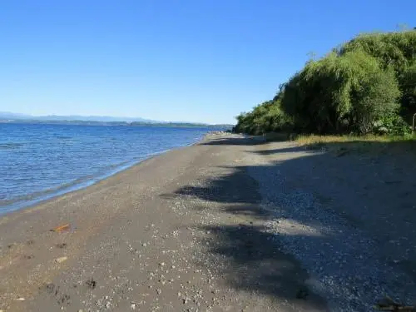 Cabañas Tulipanes del Lago