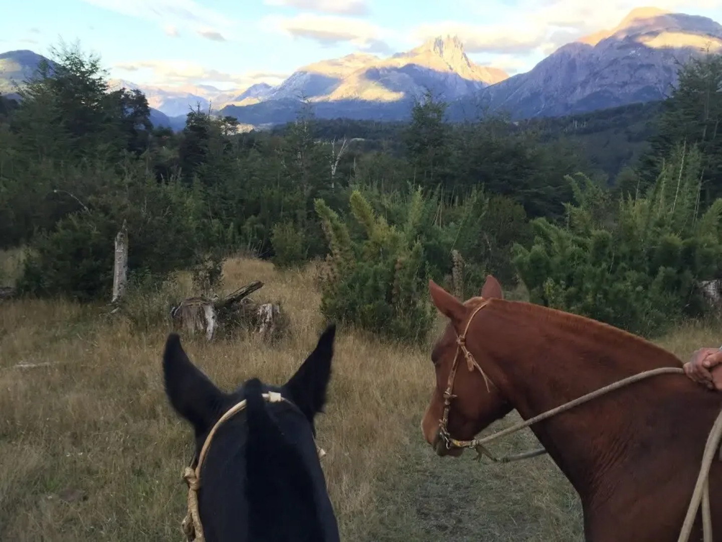 Peuma Lodge Patagonia