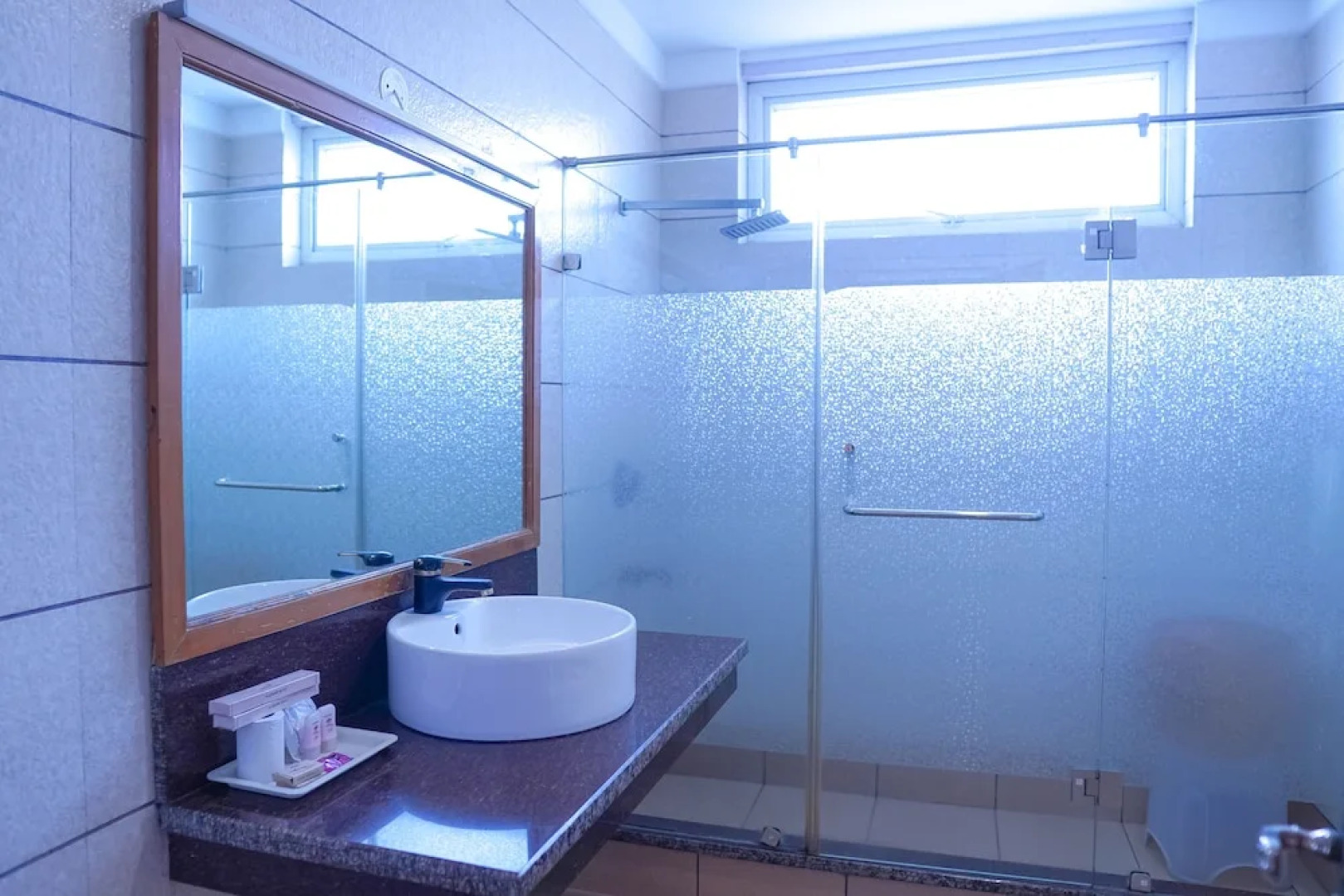 Hotel Asian Plaza Mcleodganj