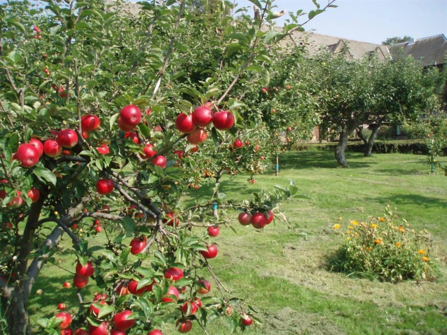 The Mirfield Monastery