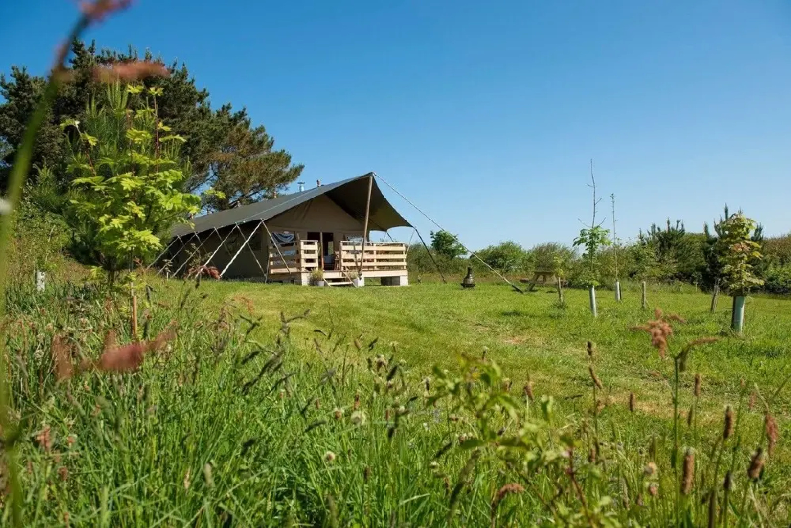 Twiga Safari Tent