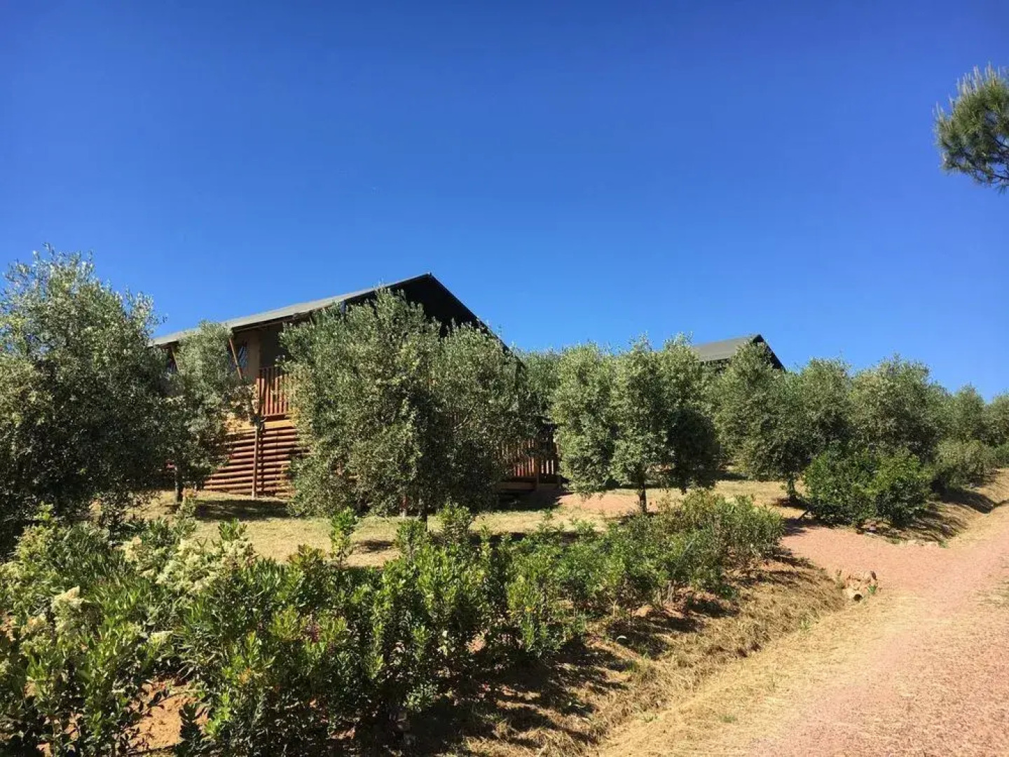Tenuta Poggio Rosso Glamping