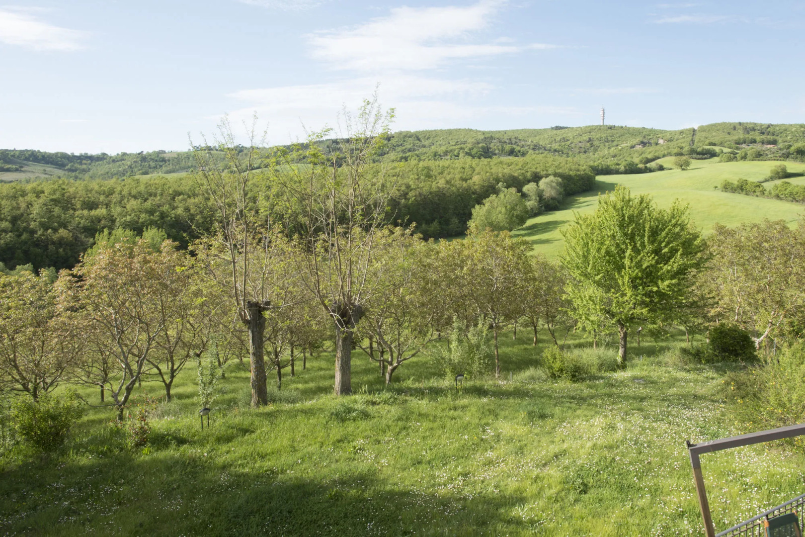 La Vittoria 10 - La Soglia della Val d'Orcia