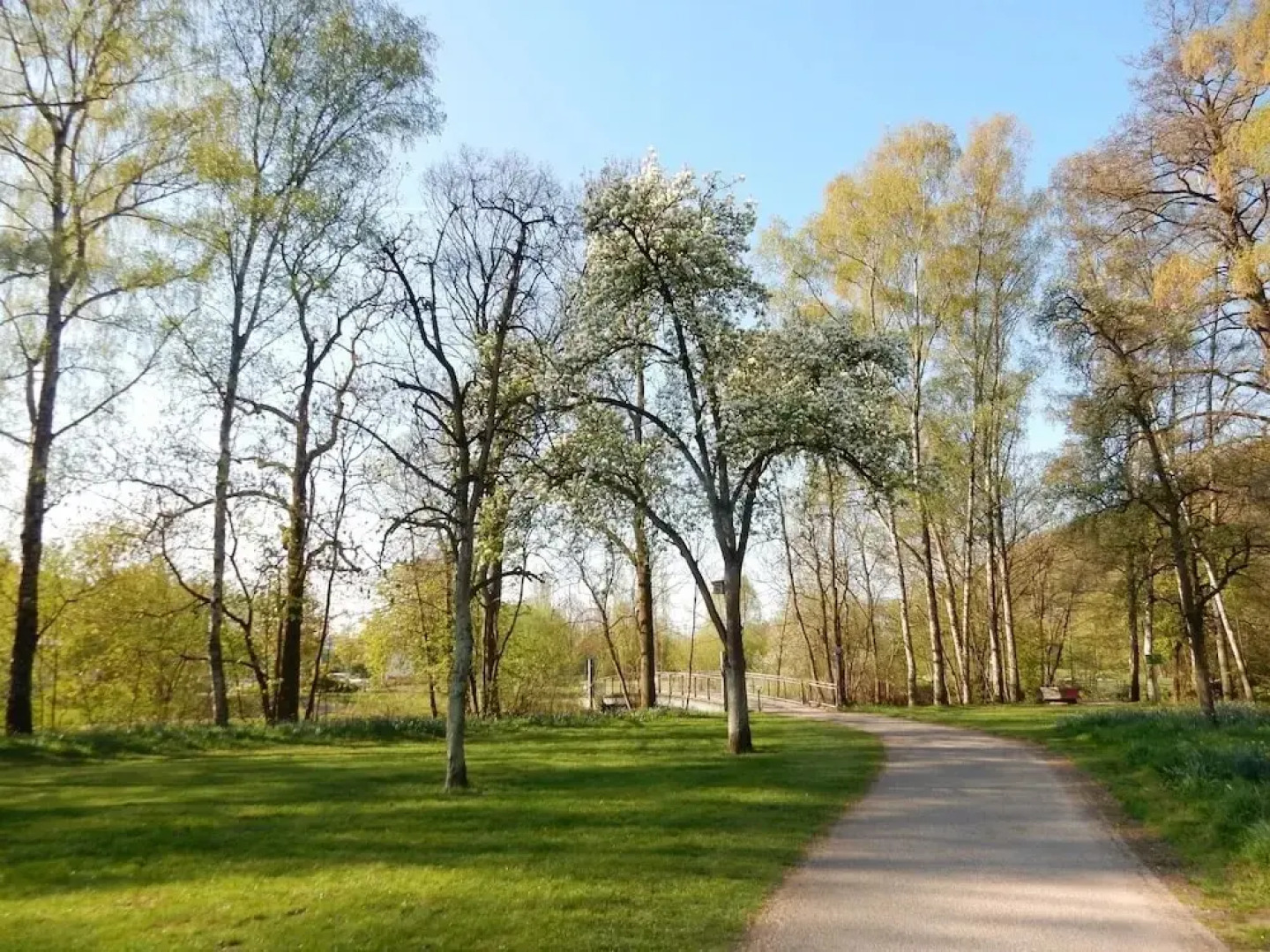 Elegant Chalet in Wilhelmsthal near Forest