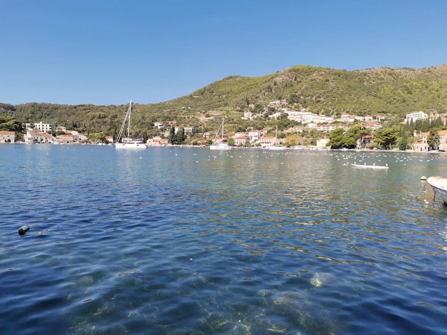 Beautiful 3-bed Villa in Zaton Mali