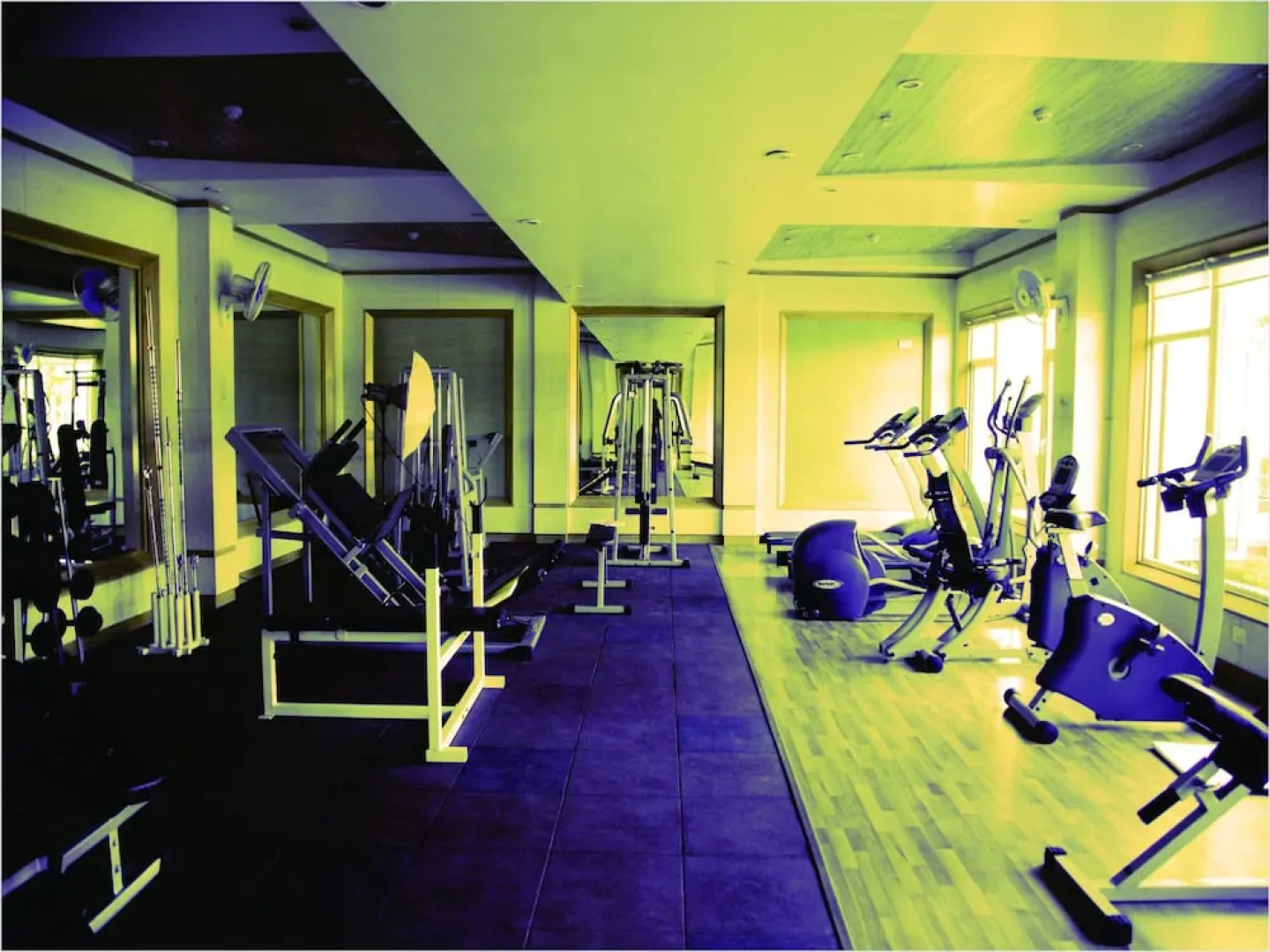 TreeHouse Hotel Club & Spa