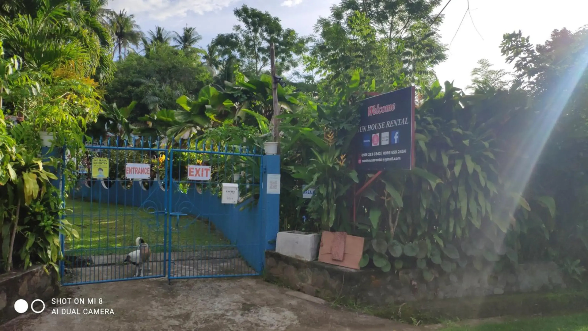 Sun House Rental