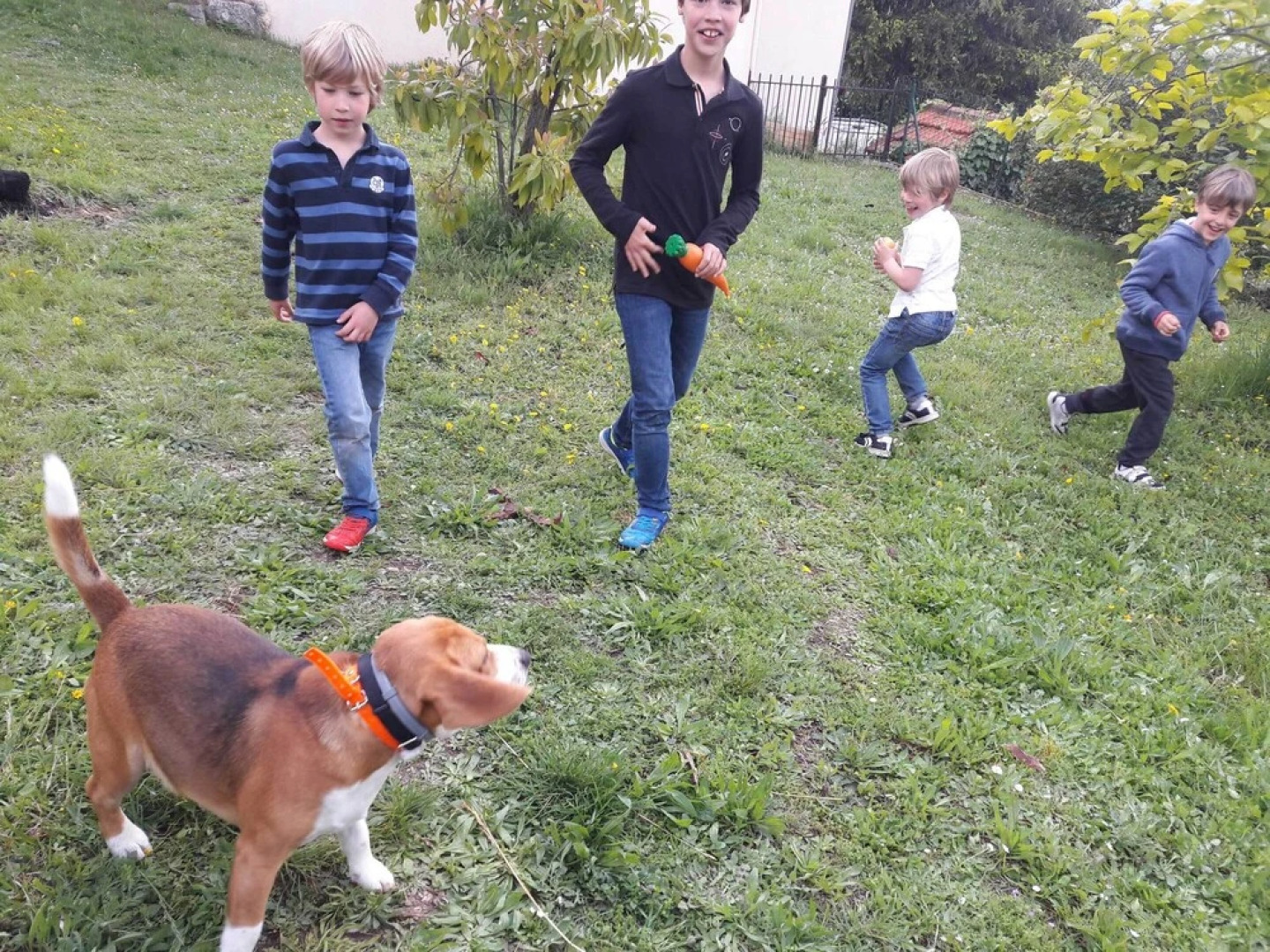 La Maison de Noélie - rez de jardin