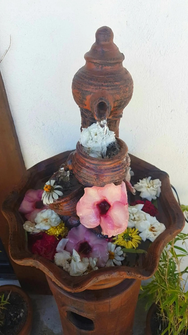 Tropical Fun Ta Sea Rentals