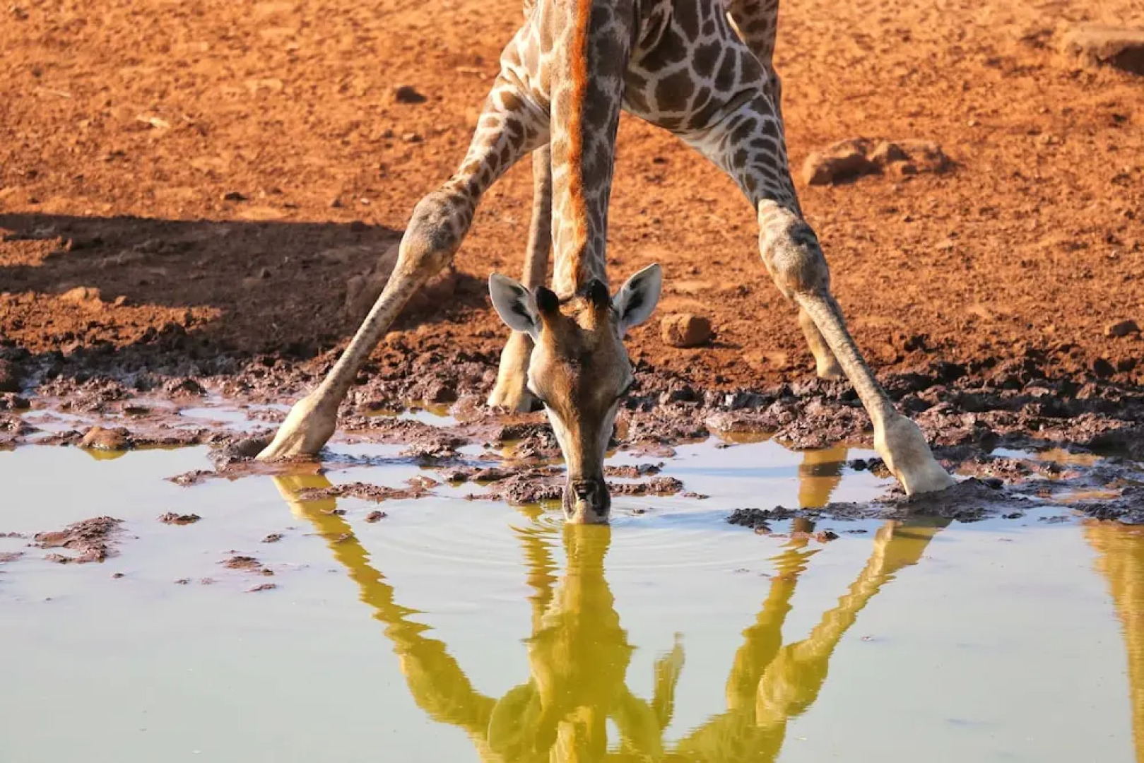 Zingela Nature Reserve - Doornstock Lodge