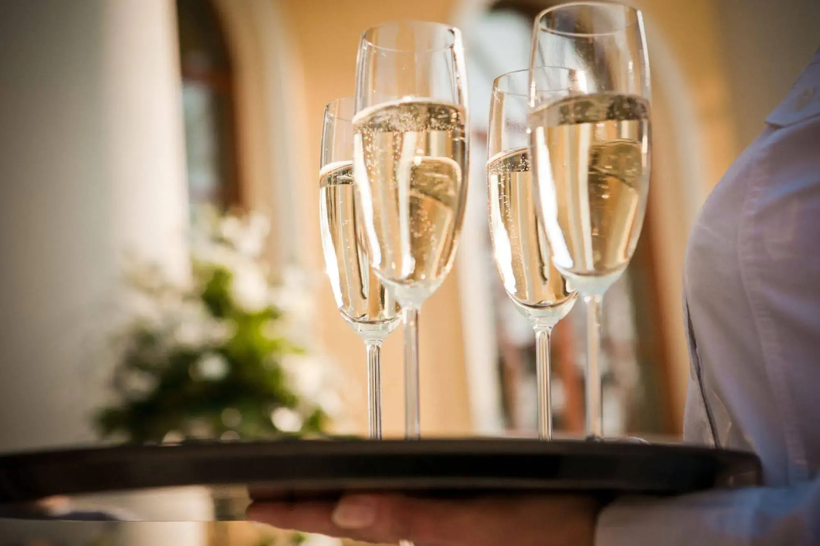 Hotel Plauter Kúria